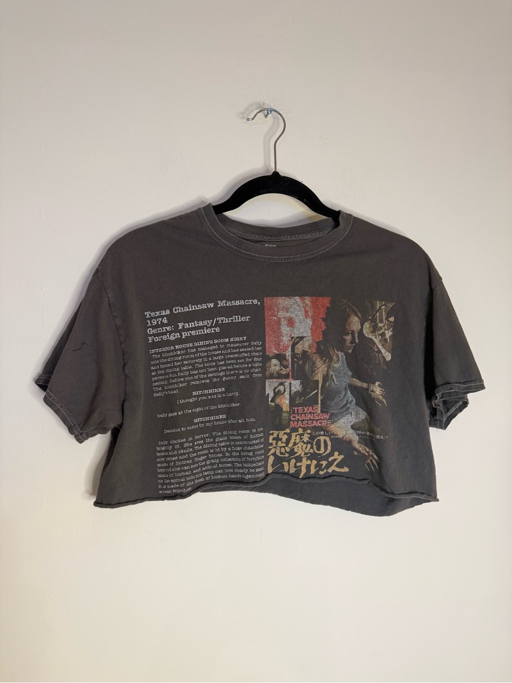 Cropped Graphic Tee — Texas Chainsaw Massacre Poster Print, Charcoal